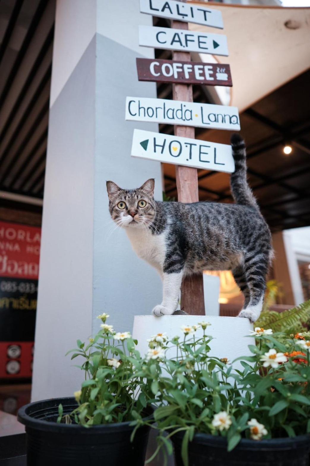 Chorlada Lanna Hotel Chiang Mai Dış mekan fotoğraf